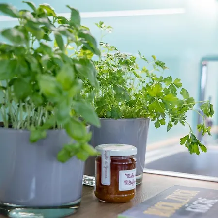 Oldtown Exclusive سالزبورغ